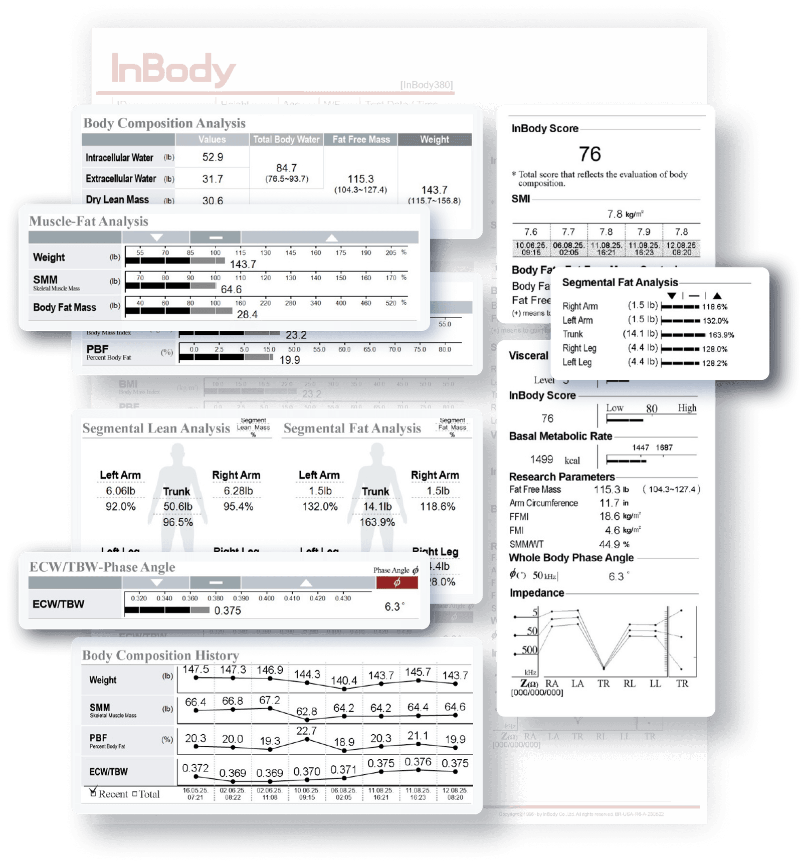 Feuille de résultats InBody 380
